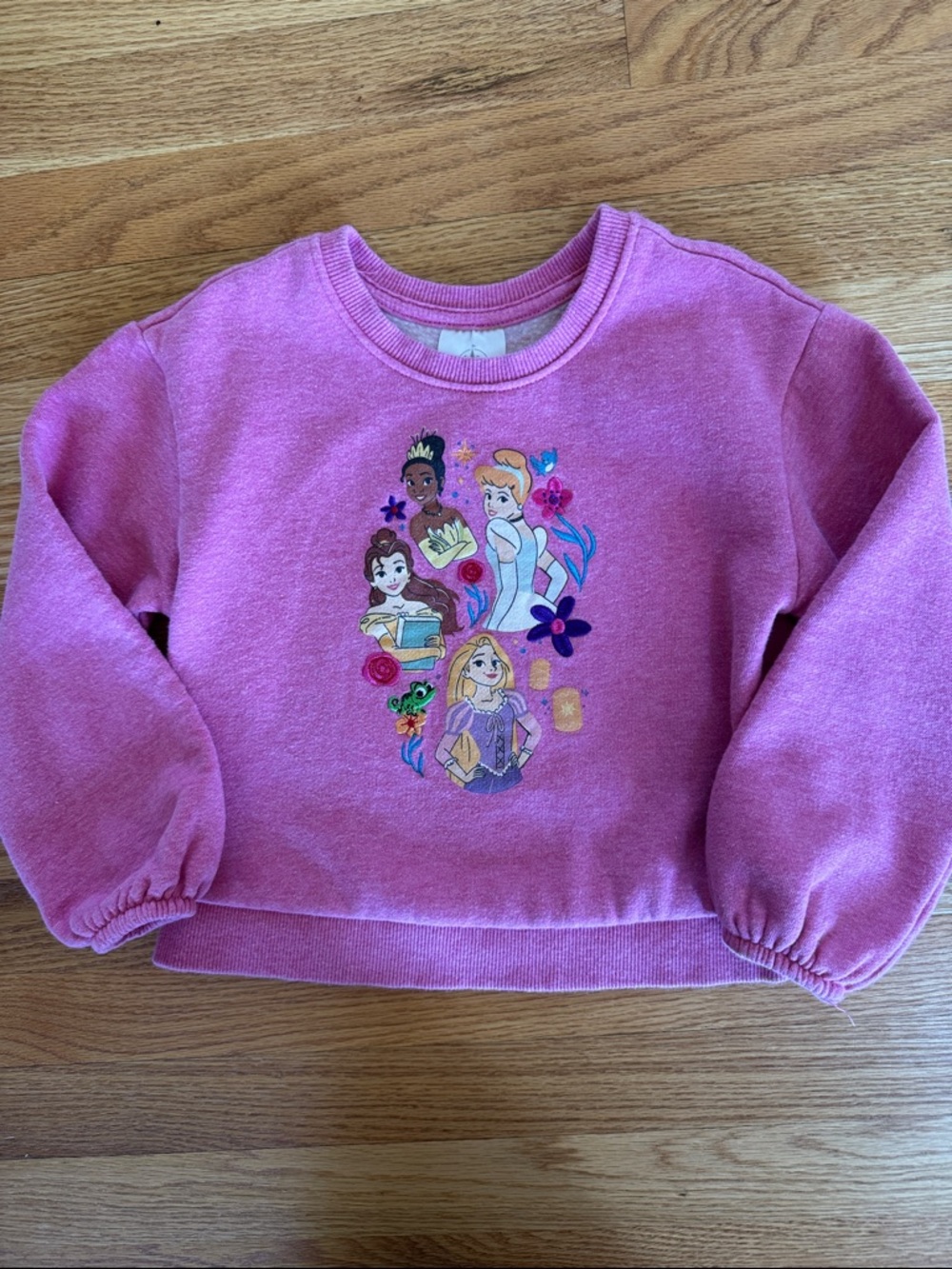 Disney Girls Pink Princess Crewneck Sweatshirt
